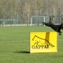 DSC00110.jpg