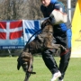DSC00326.jpg