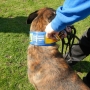 DSCN6532.jpg