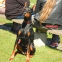 DSCN6562.jpg
