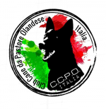 logo_ccpo
